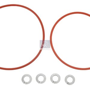 LPM Truck Parts - ORING KIT (81549016004)