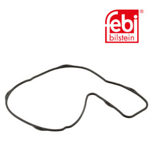 LPM Truck Parts - WATER PUMP GASKET (21415427)