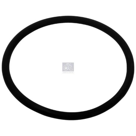LPM Truck Parts - ORING (0119970745)