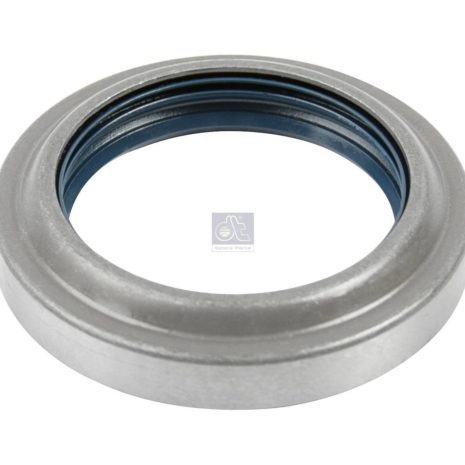 LPM Truck Parts - OIL SEAL (06562790031 - 0089979646)