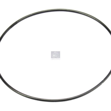 LPM Truck Parts - ORING (0119971648)