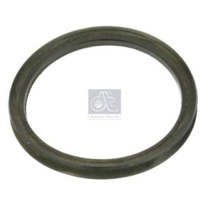 LPM Truck Parts - SEAL RING (0029973040 - 3919970040)