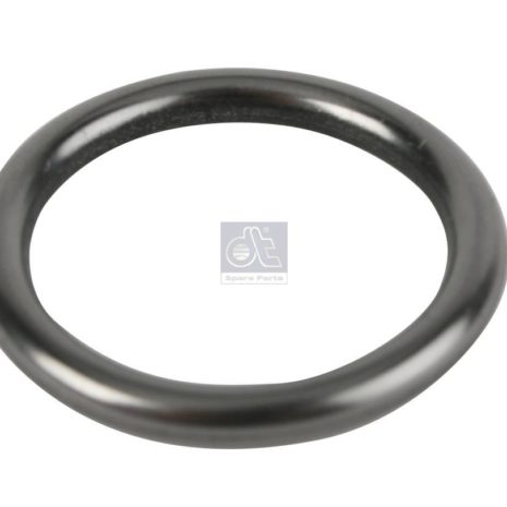 LPM Truck Parts - ORING (0179973345 - 5419970545)