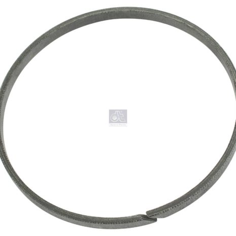 LPM Truck Parts - SEAL RING (0689198 - 21318753)