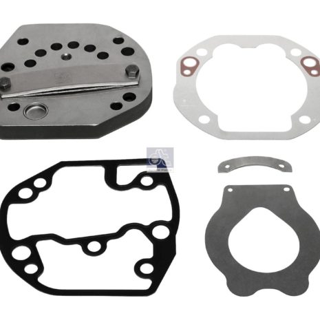 LPM Truck Parts - VALVE PLATE (4071300120 - 4421300220)