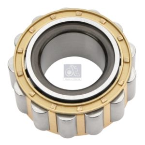 LPM Truck Parts - CYLINDER ROLLER BEARING (0699334 - 1197065)
