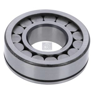 LPM Truck Parts - CYLINDER ROLLER BEARING (0079817901)