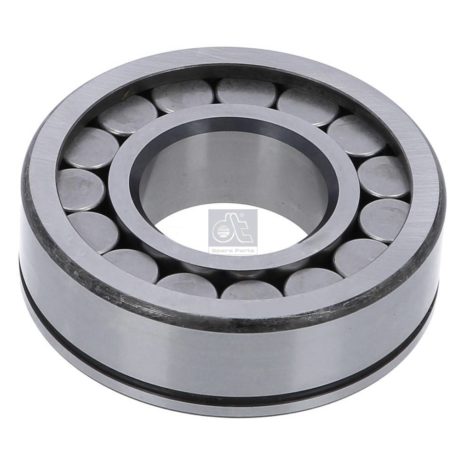 LPM Truck Parts - CYLINDER ROLLER BEARING (0079817901)