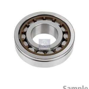 LPM Truck Parts - CYLINDER ROLLER BEARING (0067891 - 5000814548)