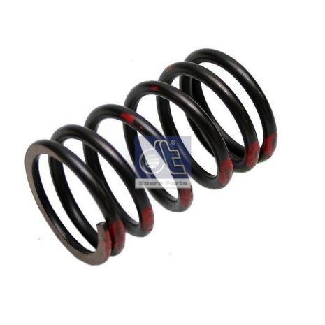LPM Truck Parts - VALVE SPRING, OUTER (4030530720 - 4030531020)