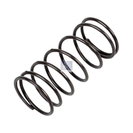 LPM Truck Parts - SPRING (0049930801 - 1526800)