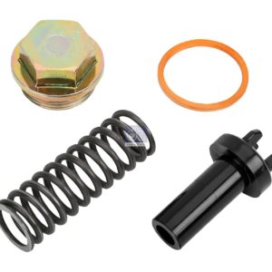 LPM Truck Parts - REPAIR KIT, VALVE (4031840132S2)