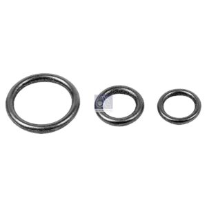 LPM Truck Parts - ORING KIT (0149973545)