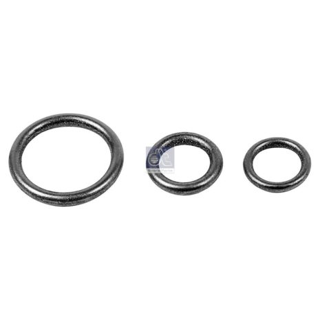LPM Truck Parts - ORING KIT (0149973545)