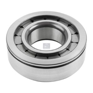LPM Truck Parts - CYLINDER ROLLER BEARING (1291189 - 06325890069)