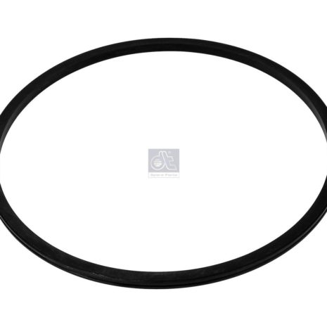 LPM Truck Parts - SEAL RING (1603978)