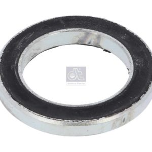 LPM Truck Parts - SEAL RING (1687346)
