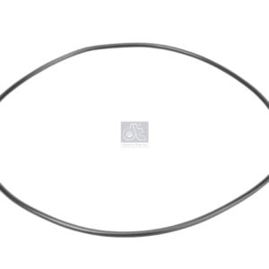 LPM Truck Parts - ORING (5003065168 - 5003065168)