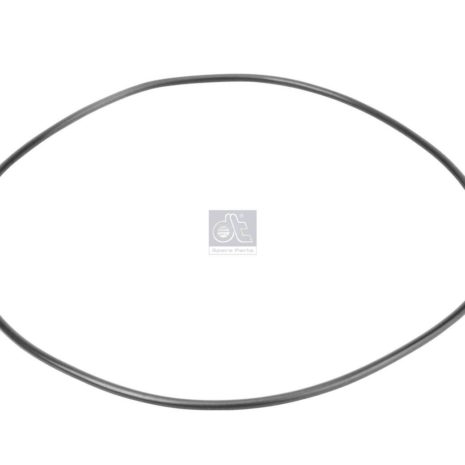 LPM Truck Parts - ORING (5003065168 - 5003065168)
