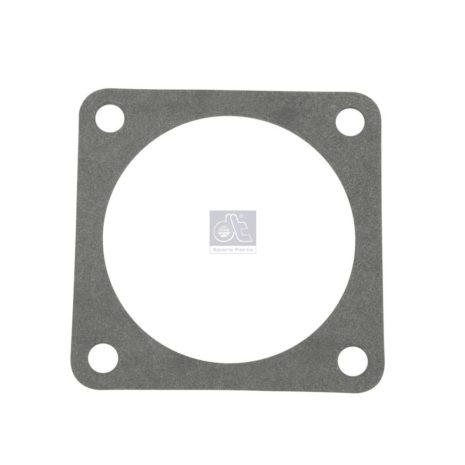 LPM Truck Parts - GASKET, COOLING WATER PIPE (5000694361 - 5000694361)