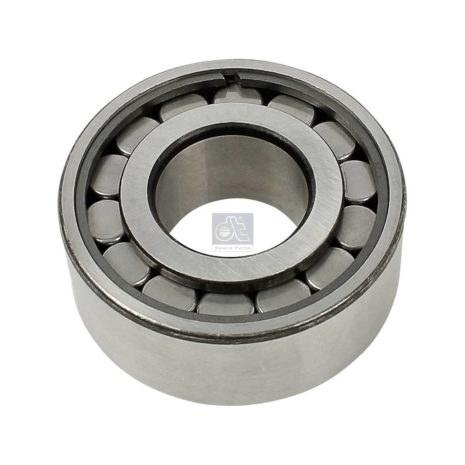 LPM Truck Parts - ROLLER BEARING (5010534823)
