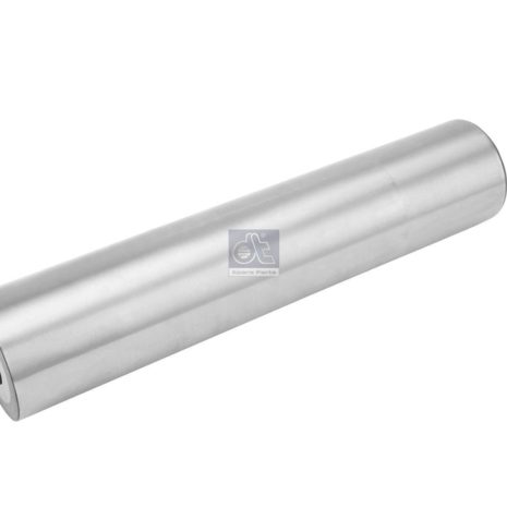 LPM Truck Parts - KING PIN (5010630993 - 25379369)