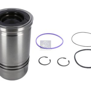 LPM Truck Parts - PISTON WITH LINER (7421640559 - 21640559)