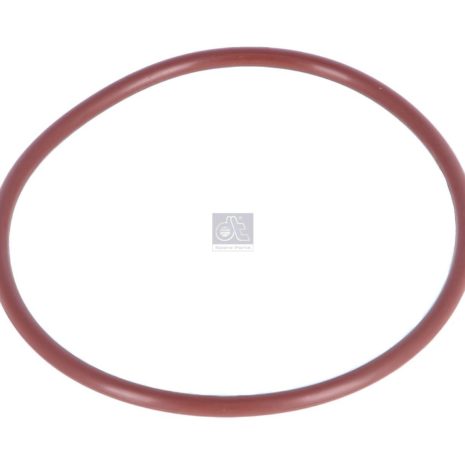 LPM Truck Parts - ORING (17298081)
