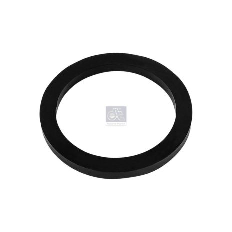 LPM Truck Parts - SEAL RING (04600893 - 4600893)