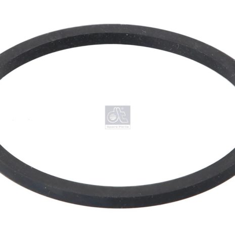 LPM Truck Parts - SEAL RING, WATER PUMP (504062856)